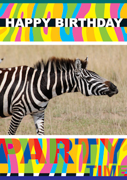 zebra birthday.jpg